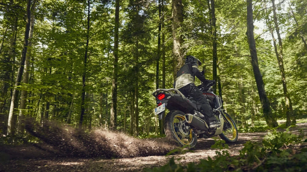Motor i Performanse